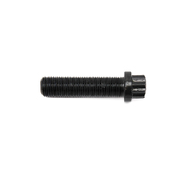 Bolt 12 Point (230-6959)